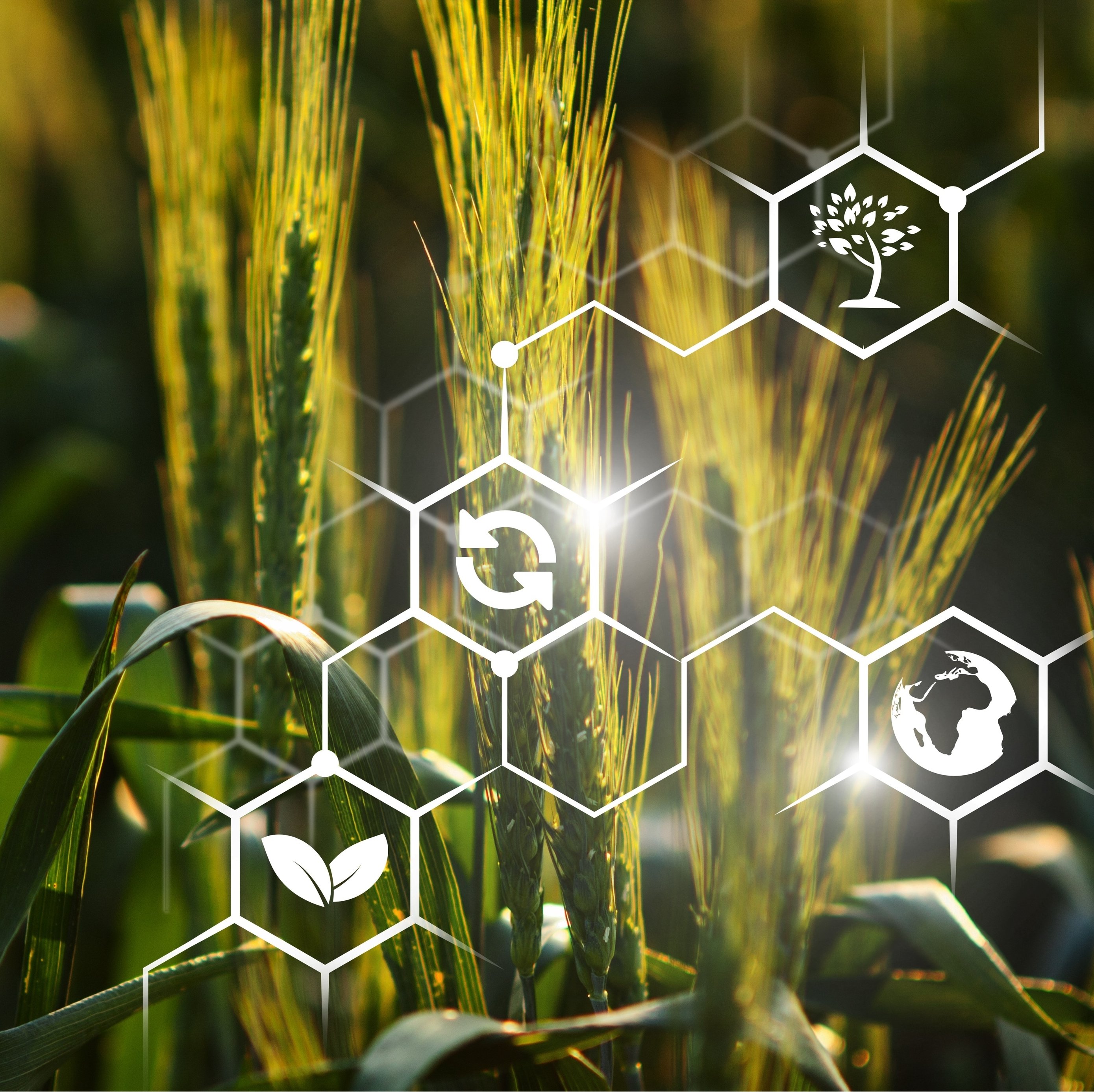 AGROTECH интеллектуальные технологии в сельском хозяйстве