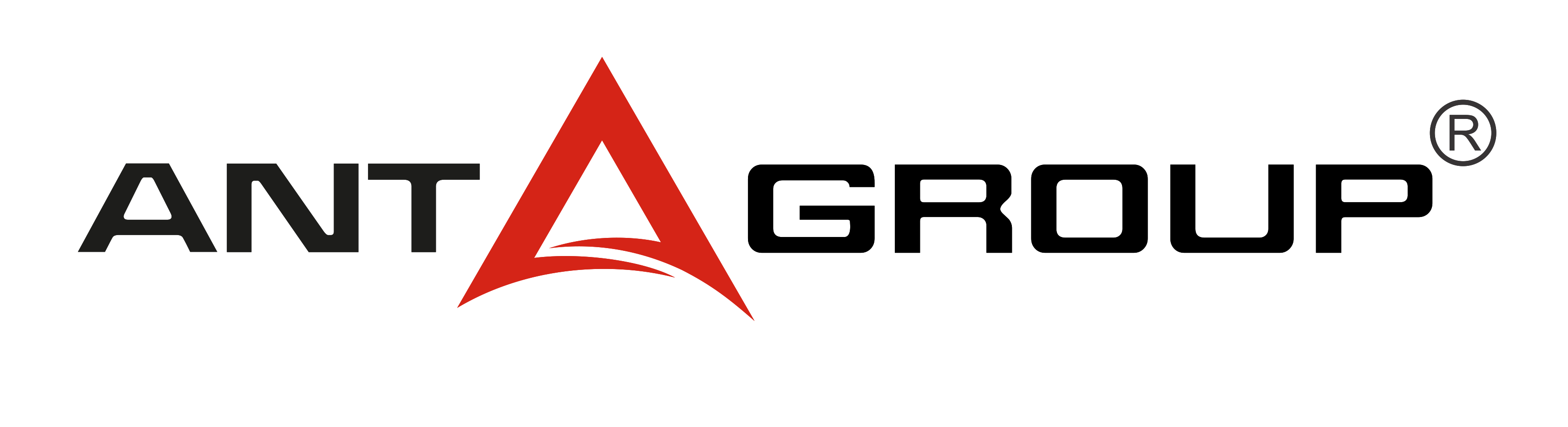 ANT GROUP