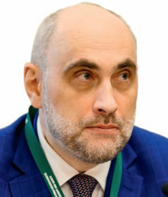 Михаил Карпов, Главгосэкспертиза