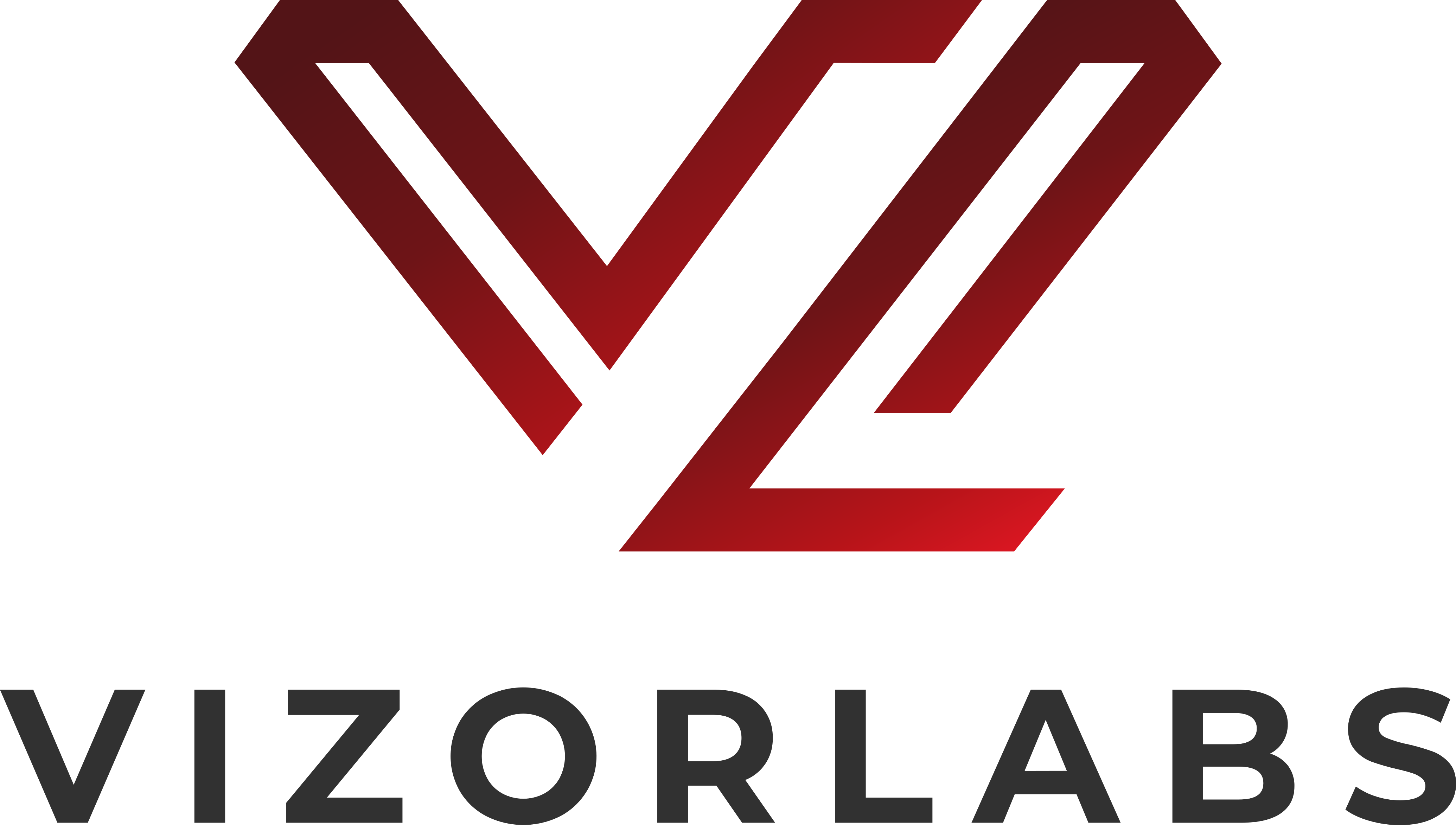 VizorLabs