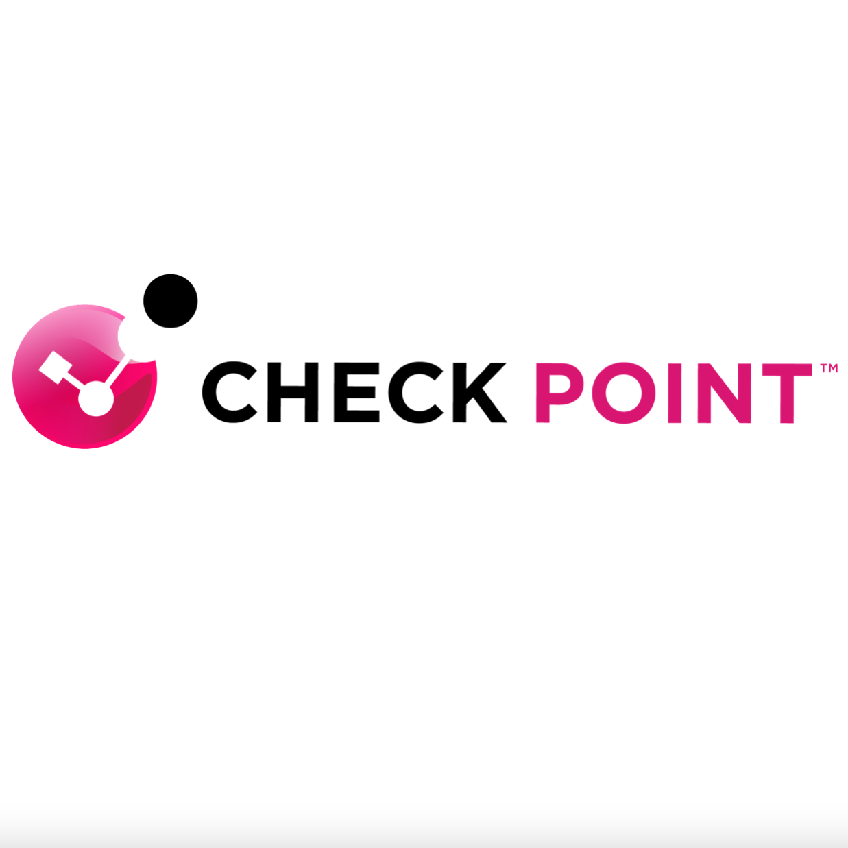 Check Point