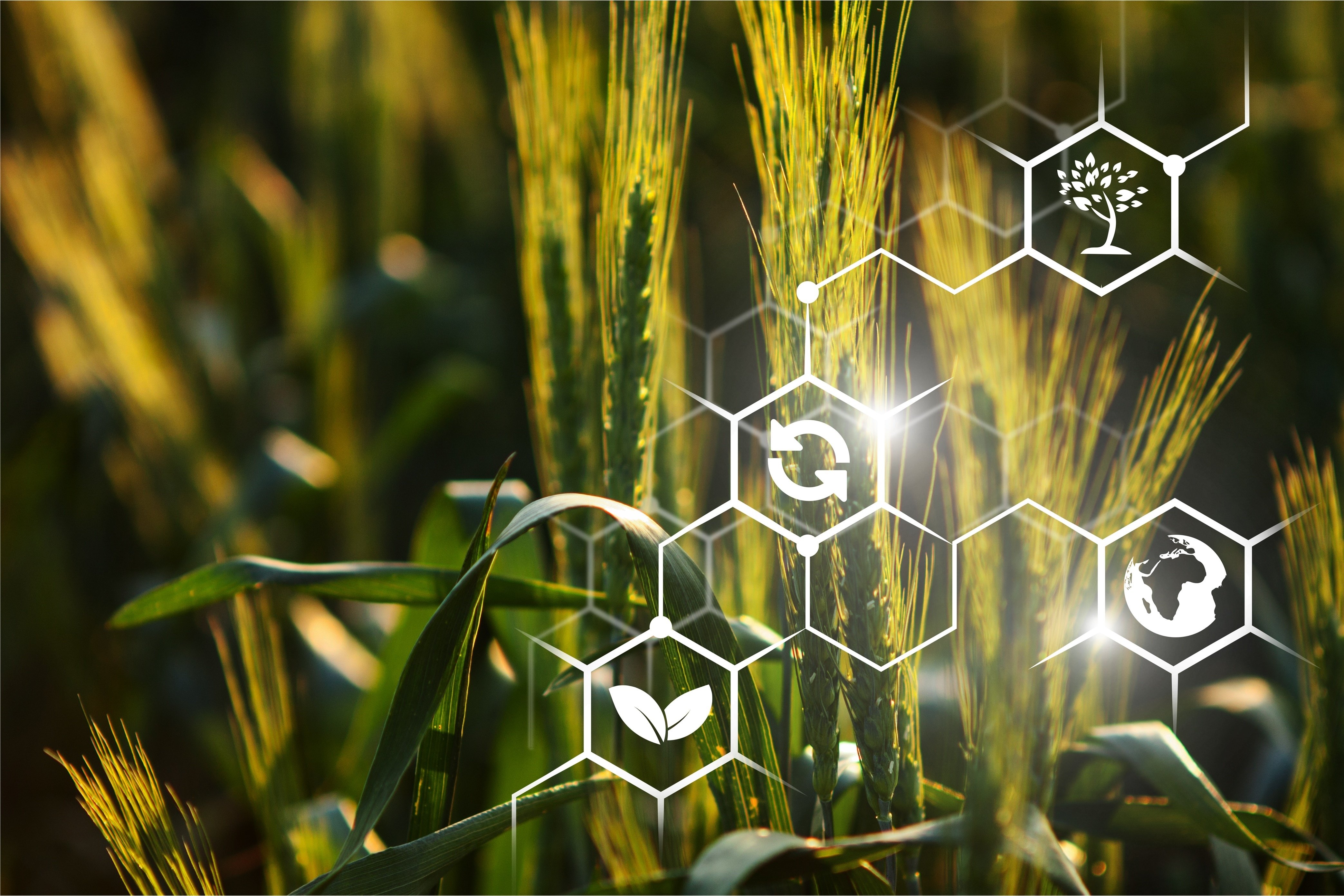 AgroTech: интеллектуальные технологии в сельском хозяйстве. Управление предприятием АПК и автоматизация бизнес-процессов